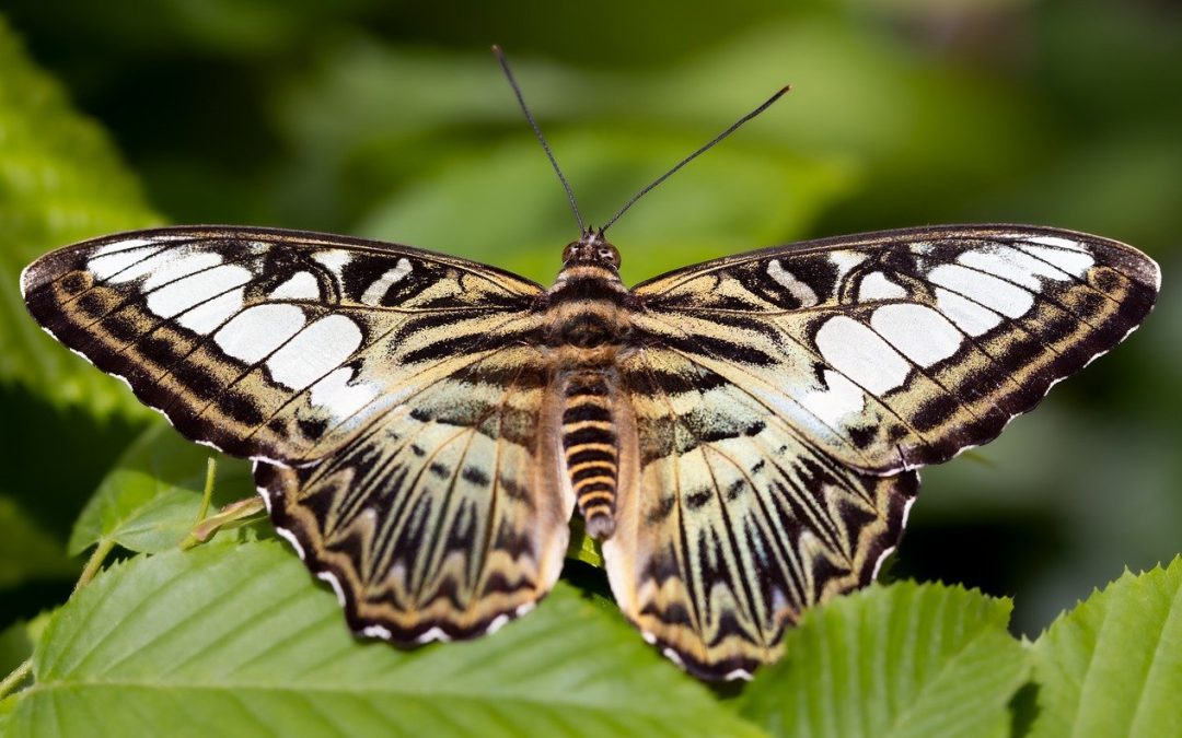 Prendre conscience de sa transformation